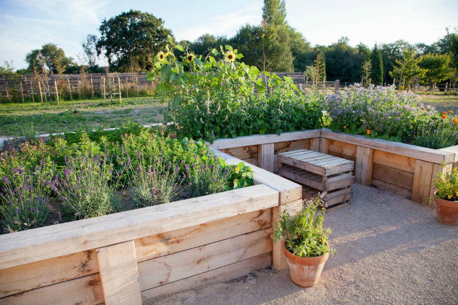 Shop Garden - Garden Beds