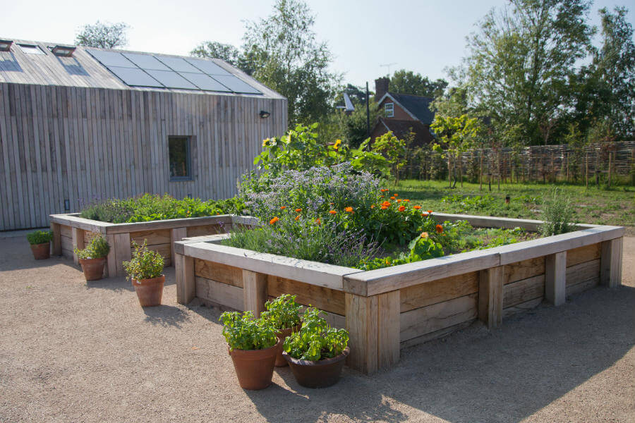 Shop Garden - Herb Garden