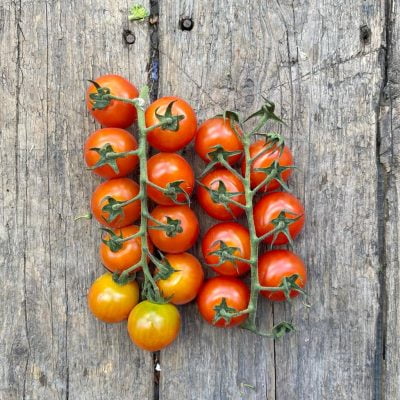 Cherry Vine Tomatoes - per 280g