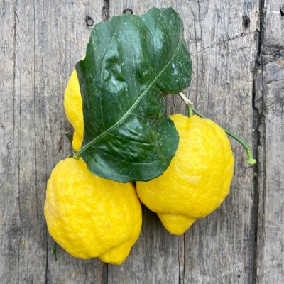 Lemon - per unit