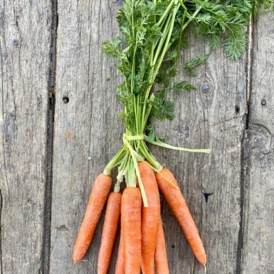 Carrot Bunch - per unit