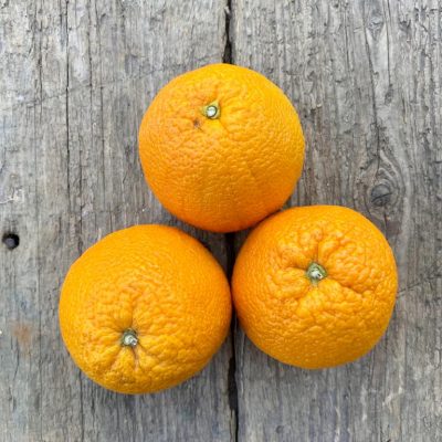 Large Oranges, Each