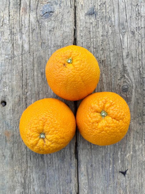 Large Oranges, Each