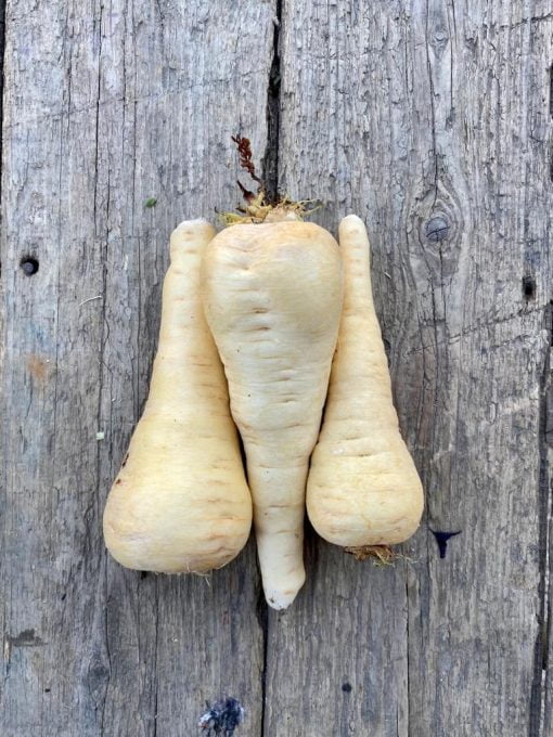 Parsnips, 500g