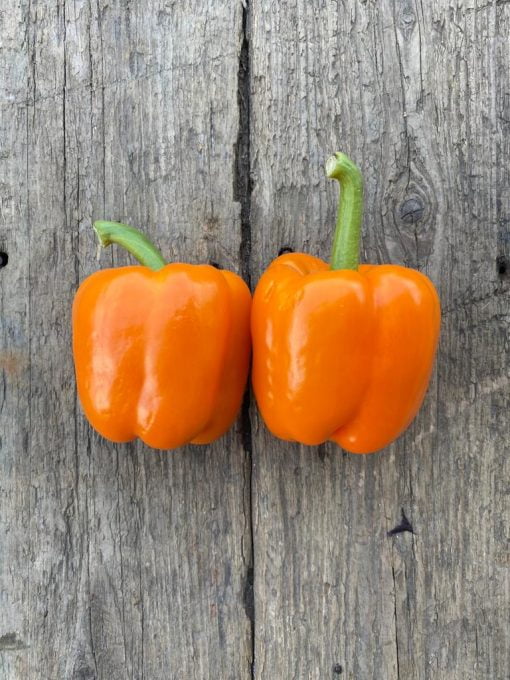 Red Peppers, each - Image 3