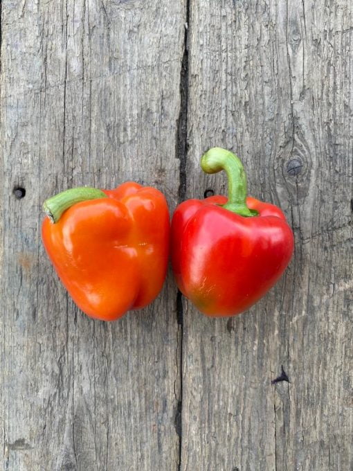 Red Peppers, each