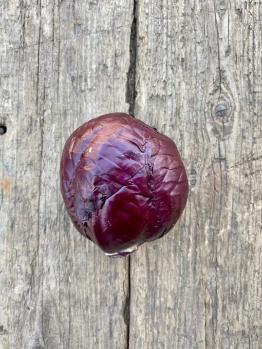 Red Cabbage, each