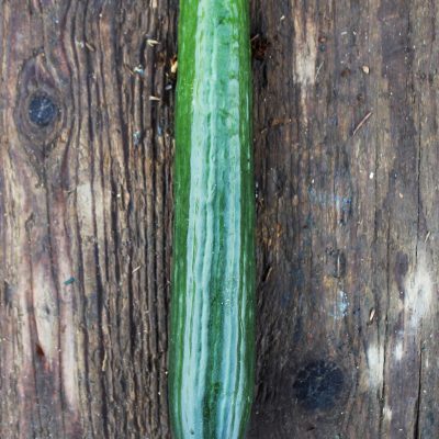 Cucumber - Each