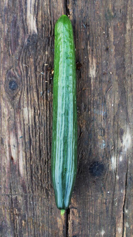 Cucumber - Each