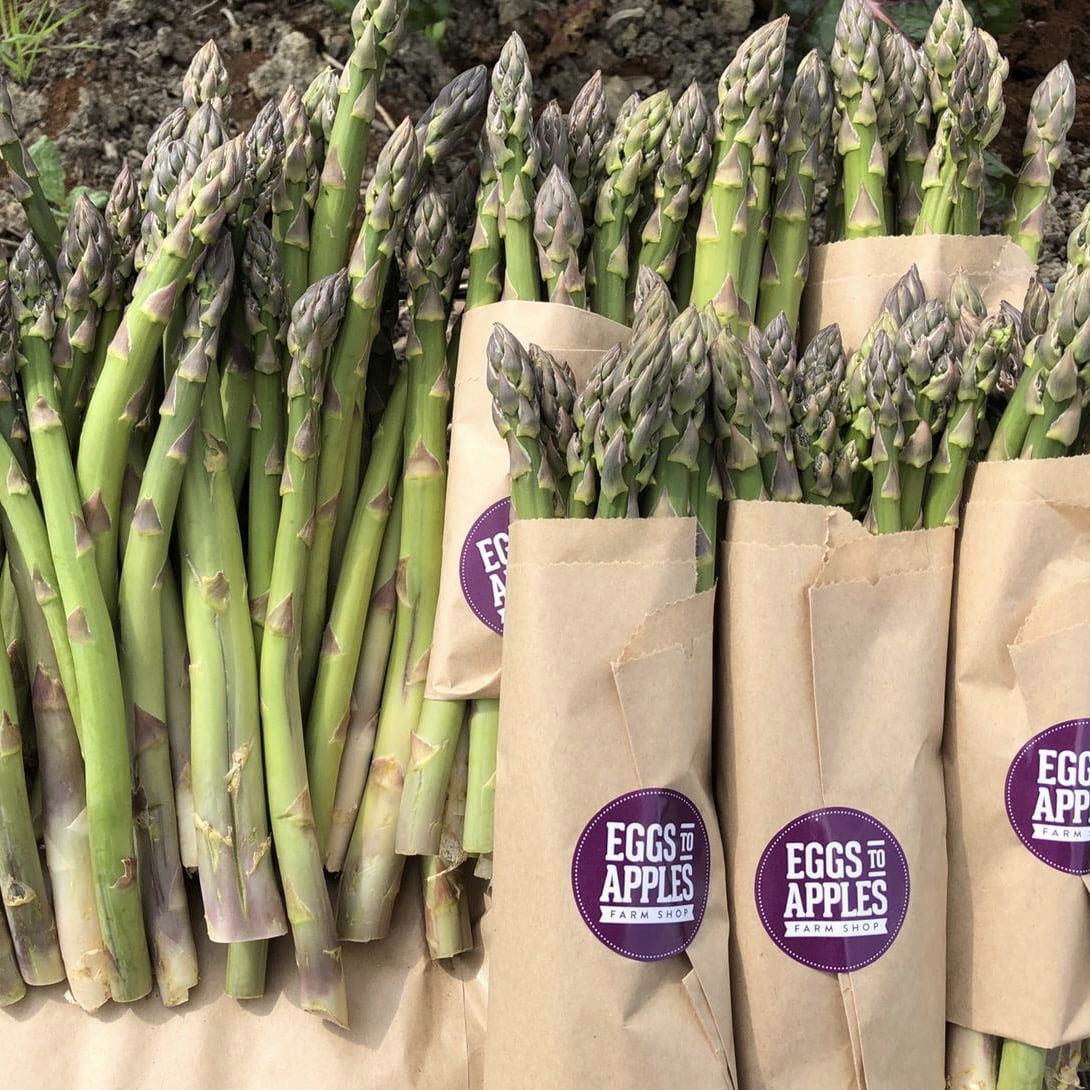 Shop Fruit and Vegetables - Fennel